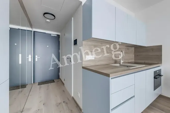 Pronájem bytu 1+kk, Praha - Karlín, Sokolovská, 28 m2