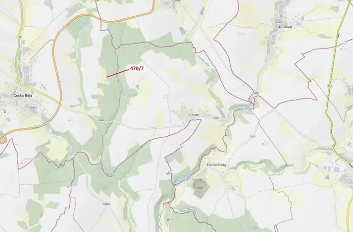 Dražba lesa, Česká Bělá, 90 m2