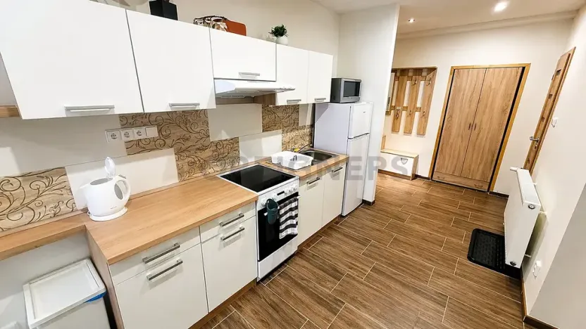 Pronájem bytu 1+1, Brno, Kotlářská, 41 m2