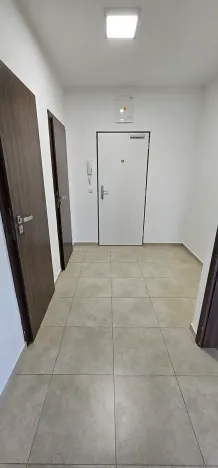 Pronájem bytu 2+kk, Brno, Kollárova, 85 m2