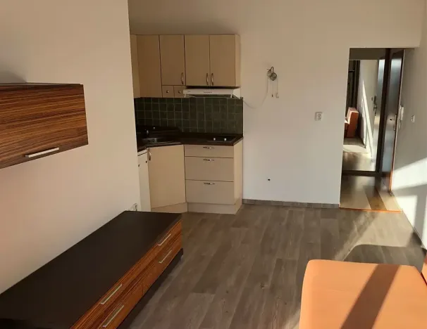 Pronájem bytu 1+kk, Olomouc, Mošnerova, 27 m2
