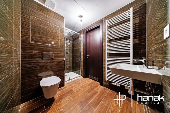 Pronájem bytu 1+kk, Olomouc, Třída Jiřího Pelikána, 33 m2