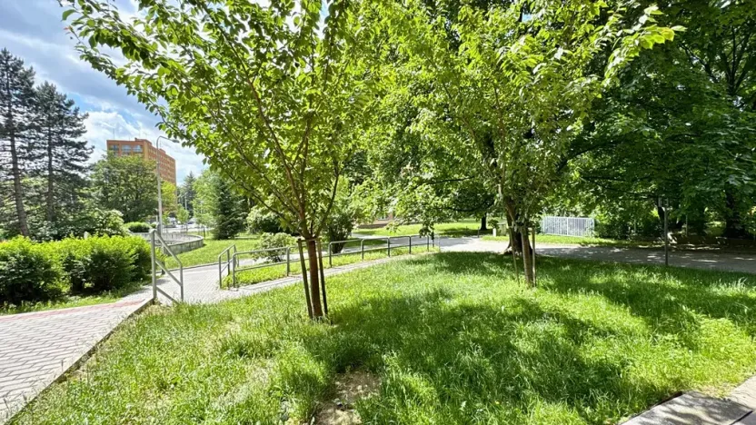 Prodej bytu 1+1, Ostrava, Bohumínská, 25 m2