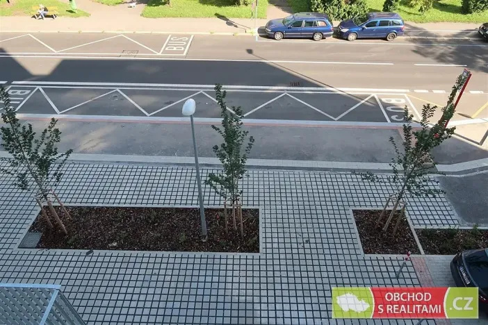 Pronájem bytu 1+kk, Praha, Štěchovická, 45 m2
