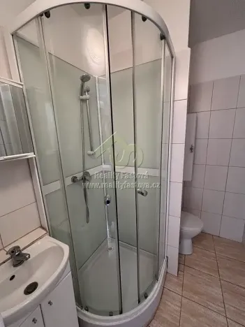 Pronájem bytu 1+1, Rokycany, Horákova, 34 m2