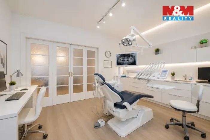 Prodej rodinného domu, Přerov - Přerov I-Město, Nerudova, 294 m2