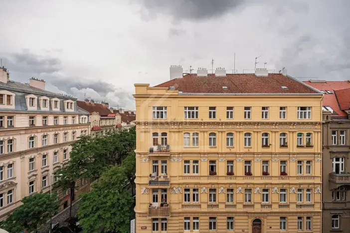 Prodej bytu 4+kk, Praha - Vinohrady, Třebízského, 120 m2