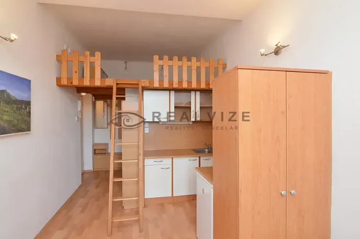 Pronájem bytu 1+kk, České Budějovice, Šumavská, 21 m2