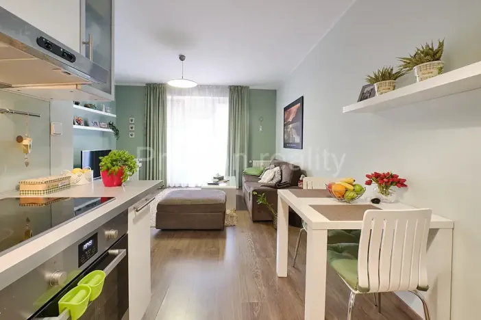 Pronájem bytu 2+kk, Praha - Košíře, Plzeňská, 45 m2