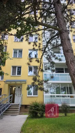 Prodej bytu 1+kk, Brno, Vltavská, 30 m2