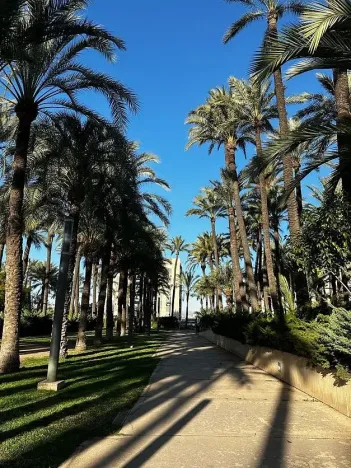 Prodej bytu 3+kk, Avenida Vincente Blasco Ibáňez, Santa Pola, COSTA BLANCA, Španělsko, 55 m2