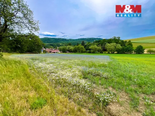 Prodej pozemku pro bydlení, Poleň, 1384 m2