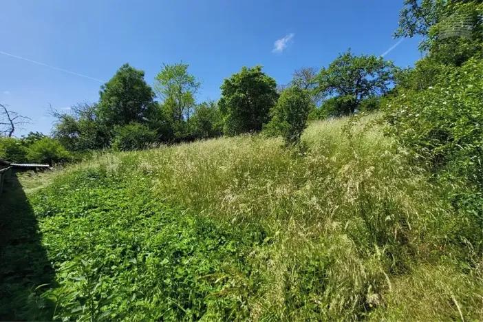 Prodej rodinného domu, Kožušice, 105 m2