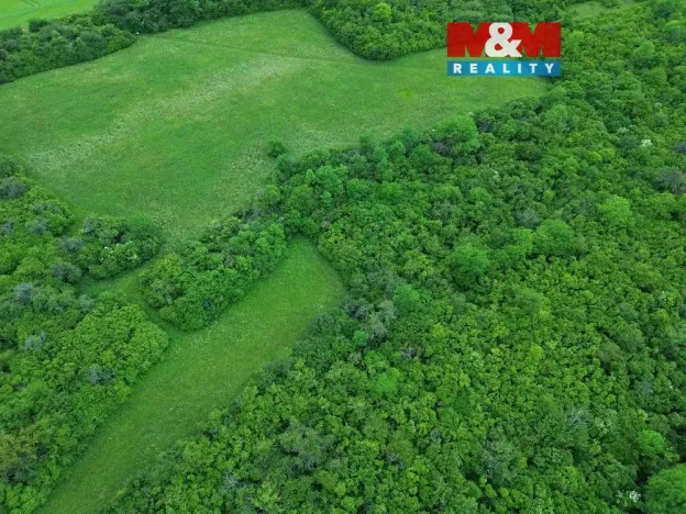 Prodej zahrady, Třebenice, 1690 m2
