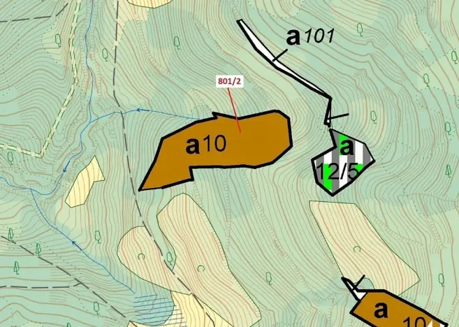 Dražba lesa, Zubrnice, 8765 m2