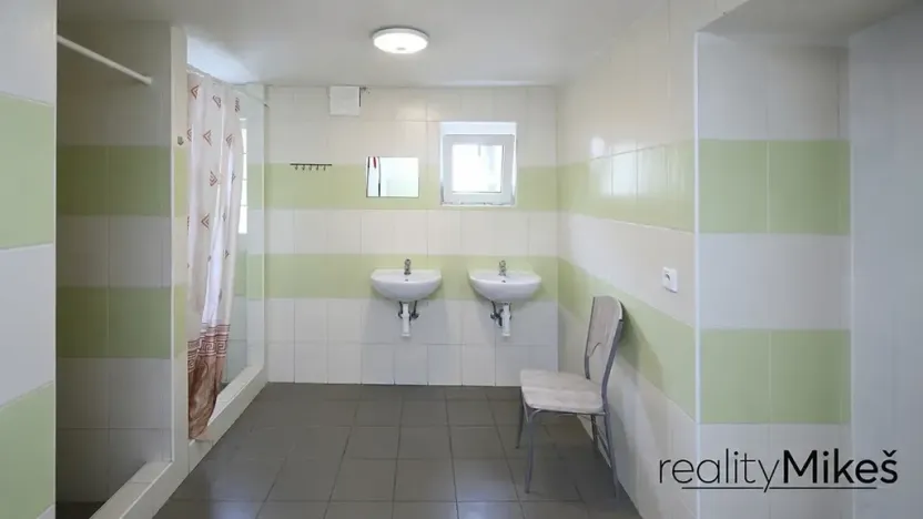 Pronájem ubytování, Dobrovice, 500 m2