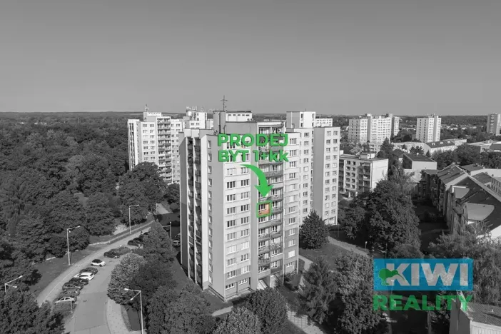 Prodej bytu 1+kk, Bohumín, Svat. Čecha, 28 m2