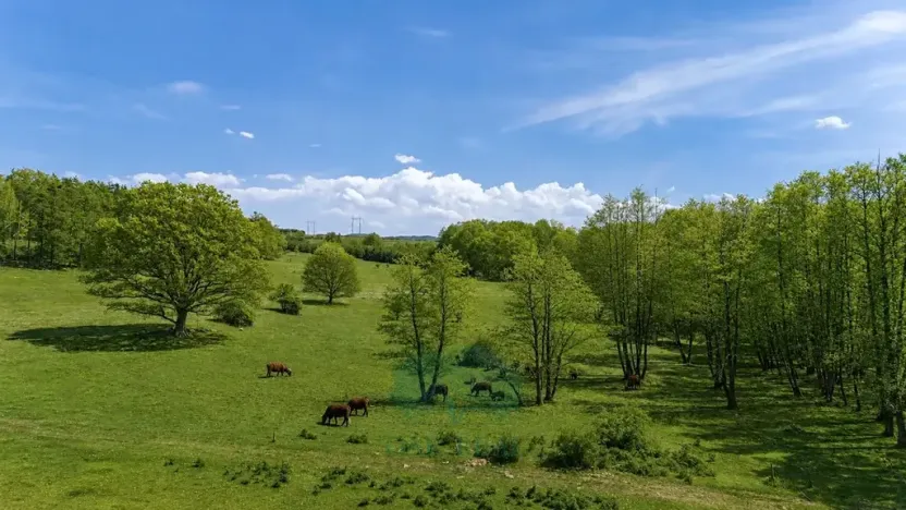 Prodej zemědělského objektu, Vrchotovy Janovice, 952 m2