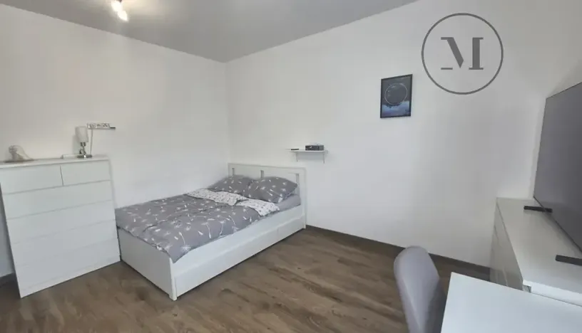 Pronájem bytu 1+kk, České Budějovice, Reinerova, 29 m2