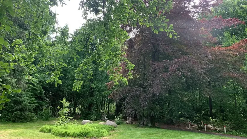 Prodej komerčního pozemku, Mařenice, 1610 m2