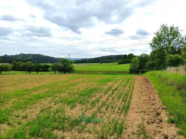 Prodej pozemku pro bydlení, Nečín, 21422 m2