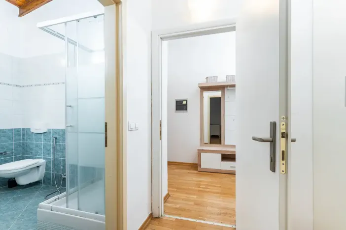 Prodej bytu 2+kk, Praha - Žižkov, Bořivojova, 72 m2