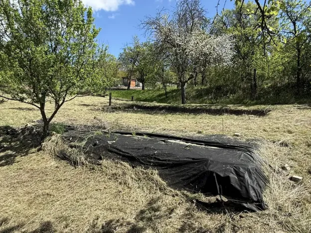 Prodej zahrady, Slavkov u Brna, 539 m2