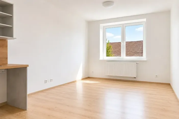 Pronájem bytu 1+kk, Syrovice, 27 m2