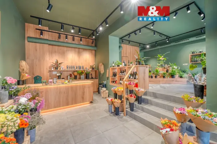 Pronájem restaurace, Plzeň - Jižní Předměstí, Americká, 145 m2