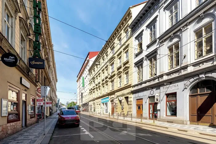 Prodej bytu 5+kk, Praha - Smíchov, Lidická, 185 m2