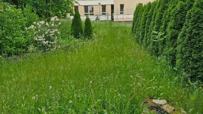 Pronájem bytu 2+1, Bruntál, Nerudova, 50 m2