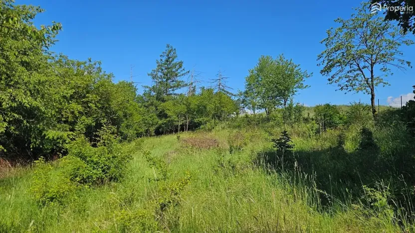 Prodej pozemku pro bydlení, Letovice, 1845 m2