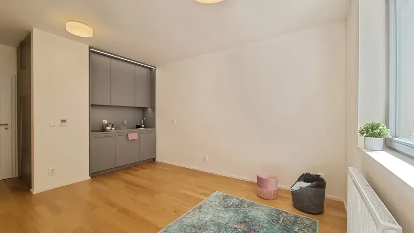 Pronájem bytu 1+kk, Brno, Mlýnská, 24 m2