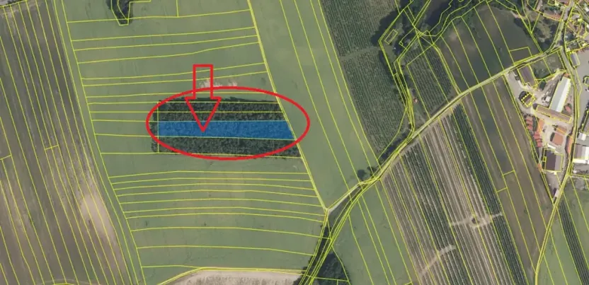 Prodej podílu lesa, Kojice, 4203 m2