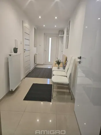 Pronájem komerční nemovitosti, Brno, Skopalíkova, 60 m2