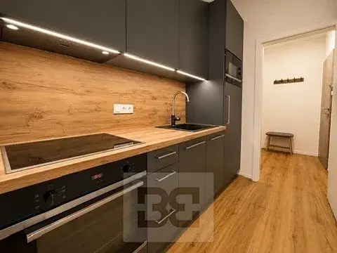 Pronájem bytu 1+kk, Brno, Košinova, 30 m2