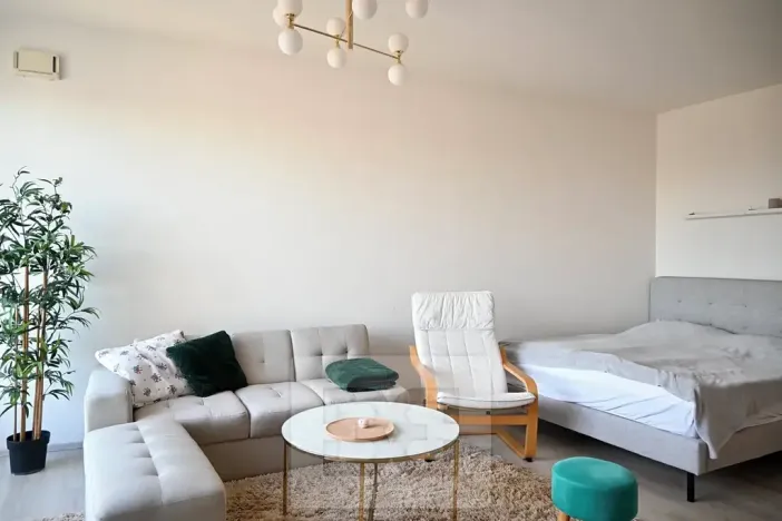 Pronájem bytu 1+kk, Brno, Křenová, 40 m2