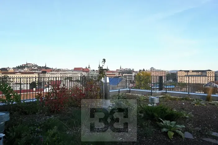 Pronájem bytu 1+kk, Brno, Křenová, 40 m2