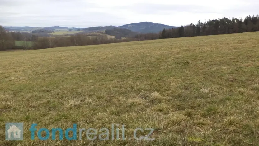 Prodej pole, Srby, 12056 m2