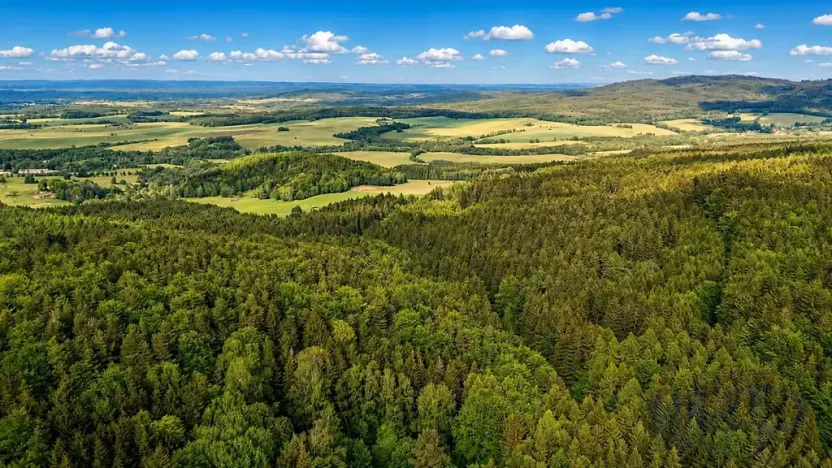 Prodej rodinného domu, Horní Stropnice, 212 m2