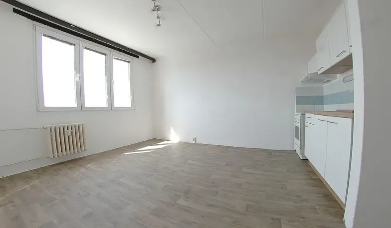 Pronájem bytu 1+1, Plzeň, Sokolovská, 40 m2