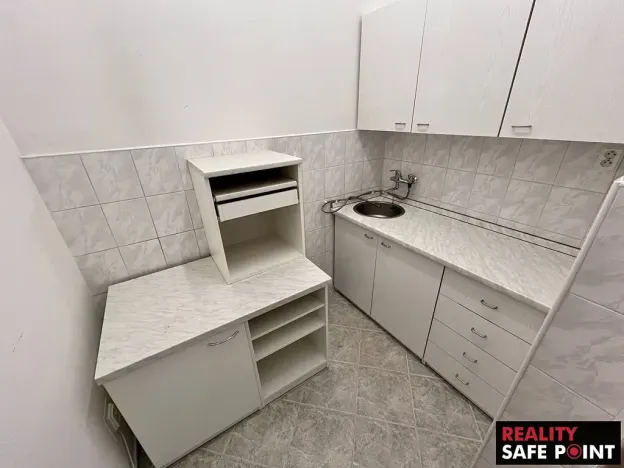 Prodej obchodního prostoru, Zruč-Senec, Plánská, 3159 m2