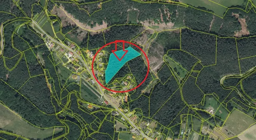 Prodej podílu lesa, Nosálov, 10723 m2