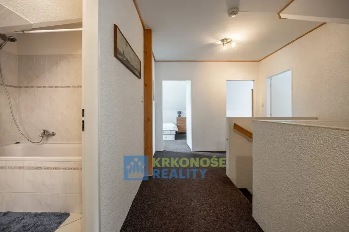 Prodej chaty, Černý Důl, 230 m2