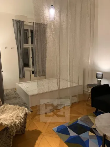Pronájem bytu 1+1, Praha - Nové Město, Petrská, 37 m2