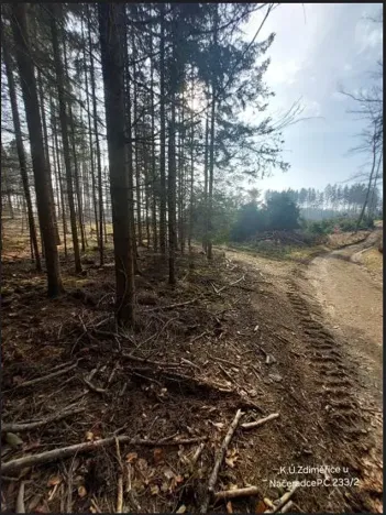 Prodej lesa, Načeradec, 2043 m2