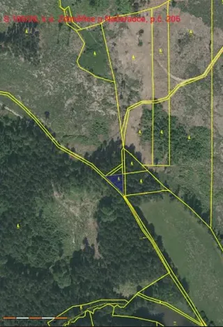 Prodej lesa, Načeradec, 450 m2