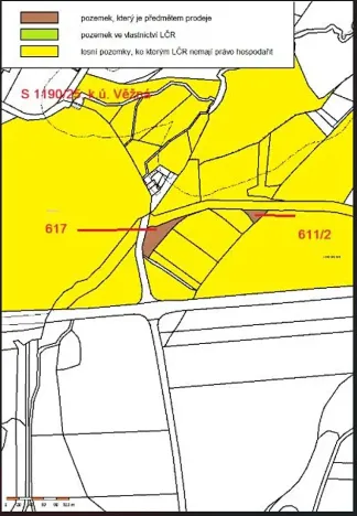 Prodej lesa, Kámen, 3212 m2