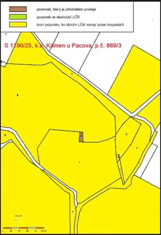 Prodej lesa, Kámen, 3212 m2
