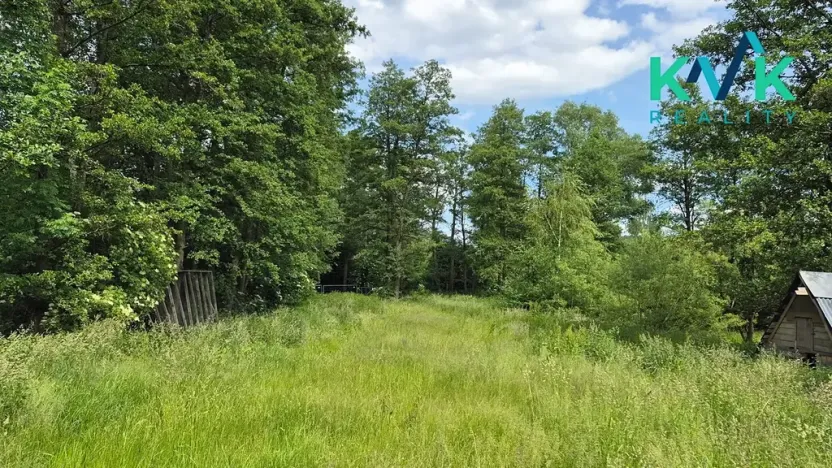 Pronájem zahrady, Sadov, 3000 m2